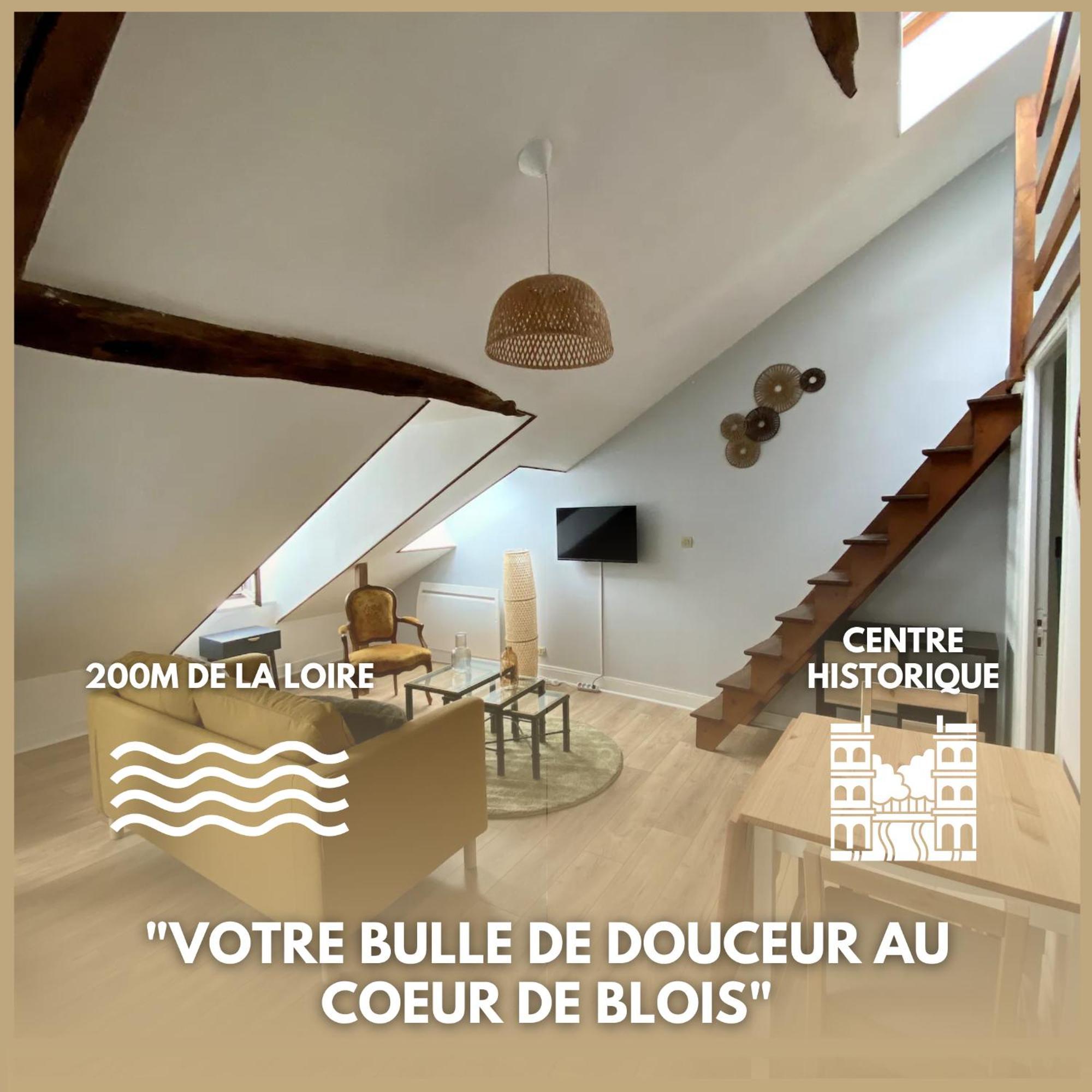 Le Cocon - Appartement En Hyper Centre Blois Buitenkant foto