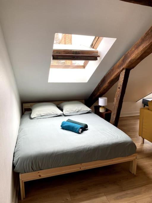 Le Cocon - Appartement En Hyper Centre Blois Buitenkant foto